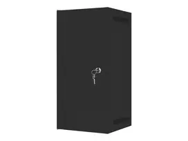 LANBERG Rack cabinet 10inch wall mount 12U 280x310 black with metal door flat pack