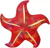 Lean Toys Pliušinis žaislas/pagalvė - raudona jūrų žvaigždė, 45 cm