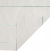 Piktžolių membrana, balta, 2x5 m, PP