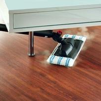 Polti Vaporetto Pro 100 Eco Power Steam Cleaner