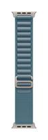 49mm Light Blue Alpine Loop - Large - Natural Titanium Finish