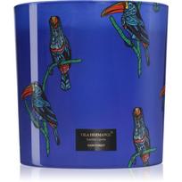 Vila Hermanos Jungletopia Rain Forest kvapioji žvakė 1450 g