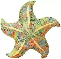 Lean Toys Pliušinis žaislas/pagalvė - žalia jūrų žvaigždė, 45 cm