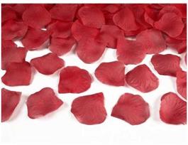 Party Deco PartyDeco Rosenblüten raudona, Dekoracija, Raudona, Universalus, Grindys, Stalas, Bet kuri lytis, 500 vnt.
