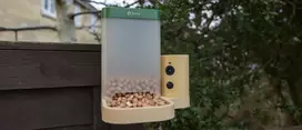 Skrzynkazdrewna „Birdfy Feeder Rookie“ – paukščių lesyklėlė su kamera