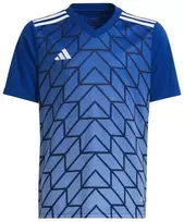 adidas Team Icon 23 Jr marškinėliai HR2654