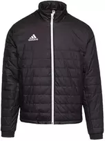 Adidas Lengva striukė Entrada 22 Jr IB6069