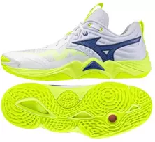 Mizuno WAVE MOMENTUM ELITE V1GA251239 batai