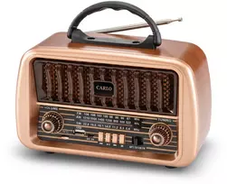 Telforceone Forever Electro FM radijas CARLO JB-105 BT USB 1200mAh
