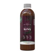 Fermentuotas slyvų gėrimo probiotinis koncentratas