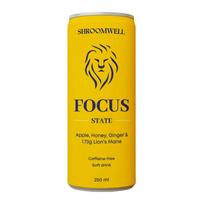 Gazuotas gaivusis gėrimas „Focus state Lion’s Mane“
