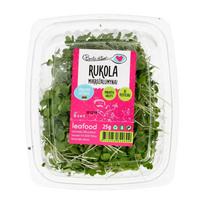 Beatos mikrožalumynai RUKOLA