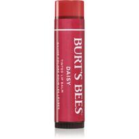 Burt’s Bees Tinted Lip Balm lūpų balzamas atspalvis Daisy 4.25 g