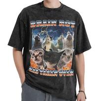 Harajuku Washed T-shirts Brain Rot has Taken Over Funny Cat Meme Print Shirt Merch High Street  Tee Shirt S įvairiaspalvis