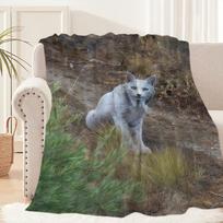 Cute A-Albino I-Iberian lynx Blanket For Soft Throw Blanket for Picnic Bed Sofa Home Bedroom Cozy Warm Comfortable Size: 75*100cm, Weight: 230 GSM