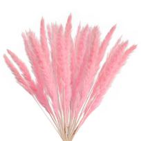 Dried Pampas Grass Natural Reed Dried Flowers Dried Pampas Grass Flowers Bouquet for Boho Home Decor Type 1