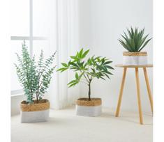 Eglo 426585 - Rinkinys 3 vnt. dekoratyvinių krepšelių NANAE 16×27 cm, balta/smėlio spalvos
