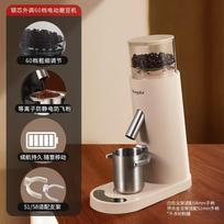 Youluo Electric Coffee Grinder