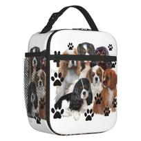 Cavalier King Charles Spaniel Portable Lunch Box Leakproof Family Group Dog Lover Thermal Cooler Food Insulated Lunch Bag Kids One Size