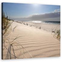 Canvas print Dunes on the beach 30x30 smėlis