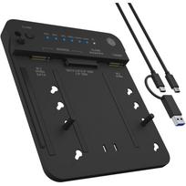 Icy Box IB-2913MCL-C31 (2.5""/3.5"" SATA, M.2 NVMe)