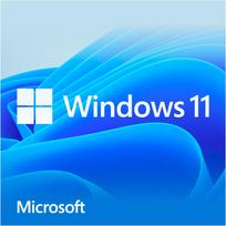 Microsoft Windows 11 Home (64-bit, French, DVD-ROM)