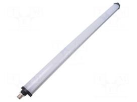 Lamp: machine light | 13W | 24VDC | L: 520mm | 1.54A | 60000h | 120° | IP54