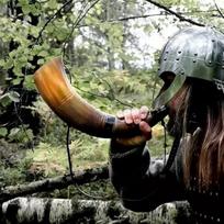 Vikingų ragas, rankų darbo, natūralus ragas, viduramžių mūšio ragelis, skandinavų kario dekoras, dovana vyrams