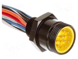 Connector: 7/8" | socket | Mini-Change | male | PIN: 12 | 600V | IP67 | 5A