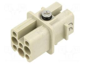 Connector: M23 | EPIC® POWER M23 D6 5+PE CF 8,5-11 (1)