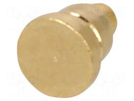 Connector: pogo pin