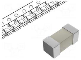 Fuse: fuse | 1A | 250VAC | time-lag | 6.3x2.7x2.7mm | SMD