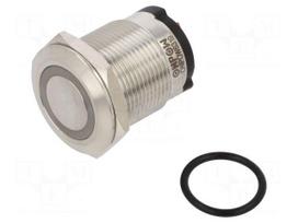 Switch: vandal resistant | Pos: 2 | SPST | 10A/24VDC | IP65 | OFF-(ON)