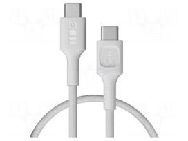Cable | USB 2.0 | USB C plug,both sides | 0.3m | white | 480Mbps | 100W