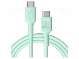Cable | USB 2.0 | USB C plug,both sides | 2m | green | PVC | 480Mbps