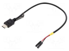 Cable | USB C plug,1pin pin header x2 | 0.2m | black | 22AWG