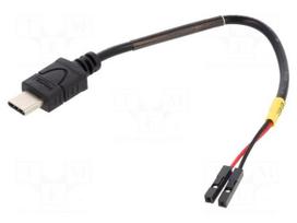 Cable | USB C plug,1pin pin header x2 | 0.1m | black | 22AWG