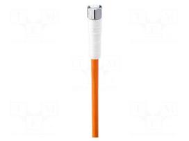 Cable: for sensors/automation | PIN: 4 | M12 female straight | 5m