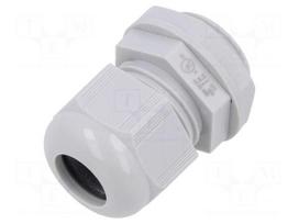 Cable gland | PG13,5 | IP68 | polyamide | light grey | Entrelec