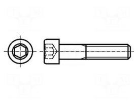 Screw | M5x90 | Head: cheese head | hex key | HEX 4mm | steel | none