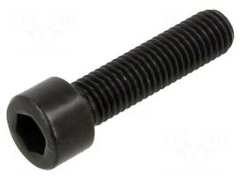Screw | M10 | M10x40 | Head: cheese head | hex key | HEX 8mm | steel | none