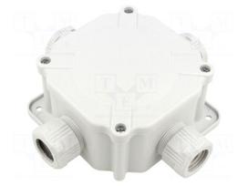 Enclosure: junction box | X: 100mm | Y: 100mm | Z: 67mm | wall mount
