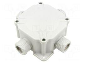 Enclosure: junction box | X: 100mm | Y: 100mm | Z: 67mm | wall mount