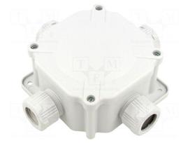 Enclosure: junction box | X: 100mm | Y: 100mm | Z: 67mm | wall mount