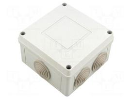 Enclosure: junction box | X: 111mm | Y: 66mm | Z: 111mm | wall mount