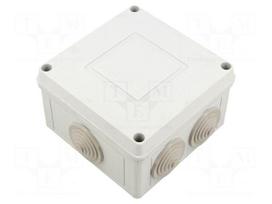 Enclosure: junction box | X: 111mm | Y: 66mm | Z: 111mm | wall mount