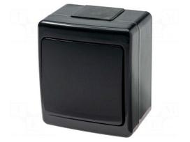 Coupler | hermetic switch | wall mount | 250VAC | IP44 | BETA | lighting