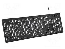 Keypad: computer | black | USB A | wired,slim,US layout | 1.4m