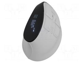 Mouse | EUPHONIE PRO | white,black | USB A,USB C | wireless,optical