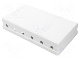 Case | Keystone | white | for building in,wall mount | without tools